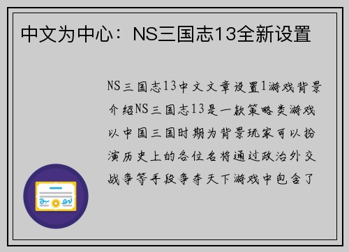 中文为中心：NS三国志13全新设置